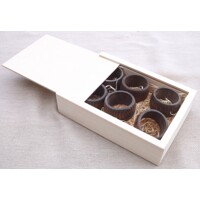 Napkin ring nut tree - set